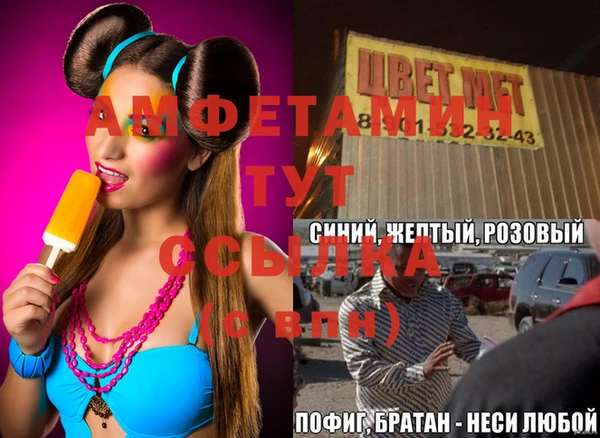 крисы Богородицк