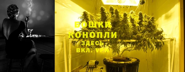 крисы Богородицк