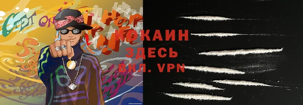 крисы Богородицк