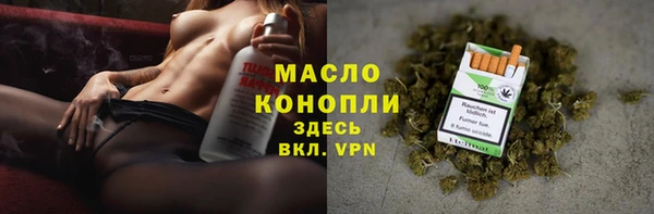 крисы Богородицк