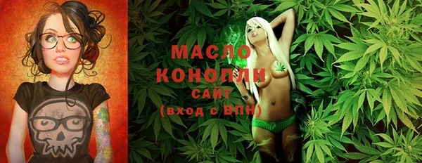 крисы Богородицк
