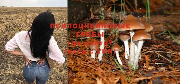 крисы Богородицк